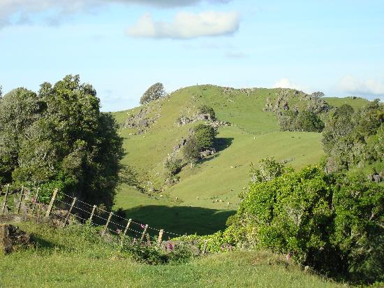 Tapanui Country Home-酒店景观