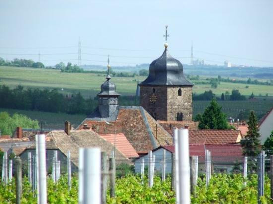 Bobenheim am Berg旅游攻略图片
