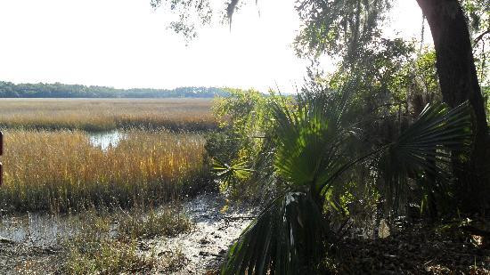 Wormsloe Historic Site景点图片