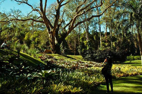 因浩特姆-Brumadinho必去景点