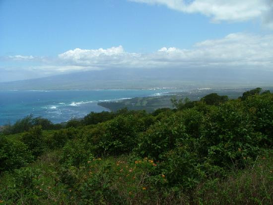 Circle M Ranch-怀露库必去景点