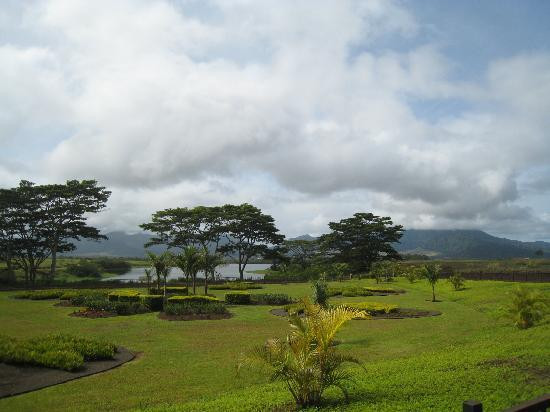 杜尔凤梨园-瓦西瓦必去景点