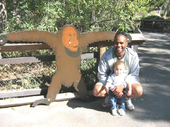 El Paso Zoo-埃尔帕索必去景点