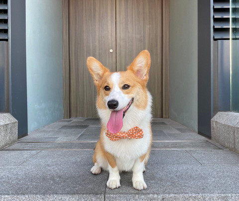 香港維港凱悅尚萃酒店主图