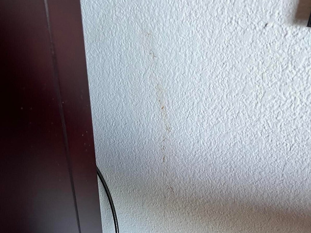 金斯顿希尔顿恒庭酒店主图