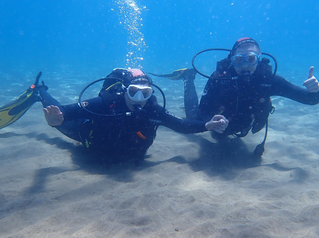 Active Scuba Divers-科斯塔特吉塞必去景点