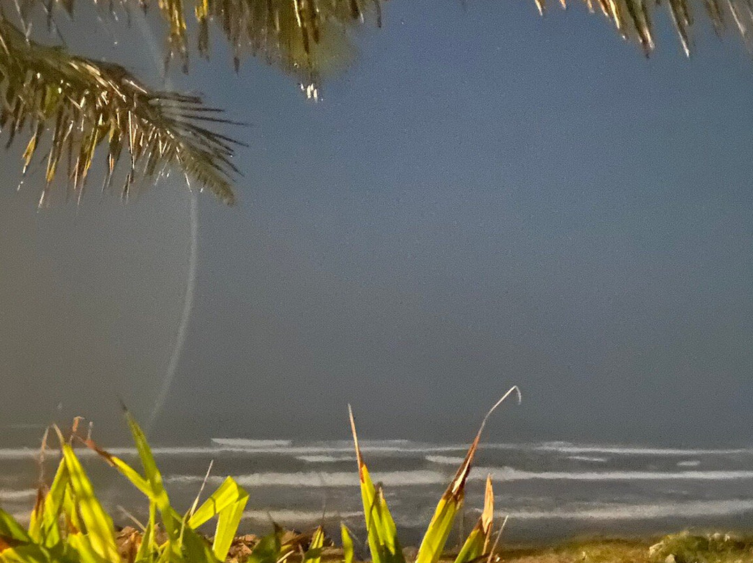 Hotel Estrella Del Mar主图