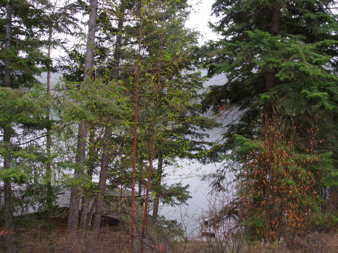 Heffley lake bc-Heffley Creek必去景点