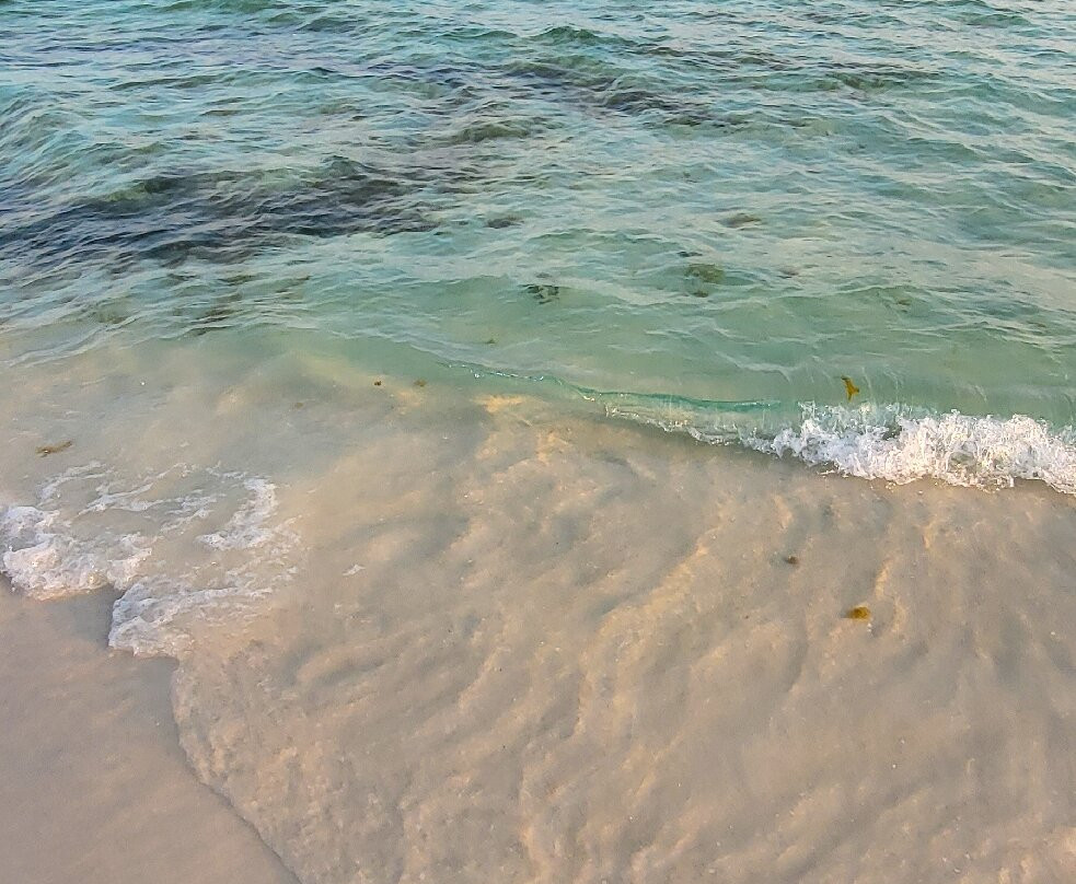 Wavecrest Lodge主图