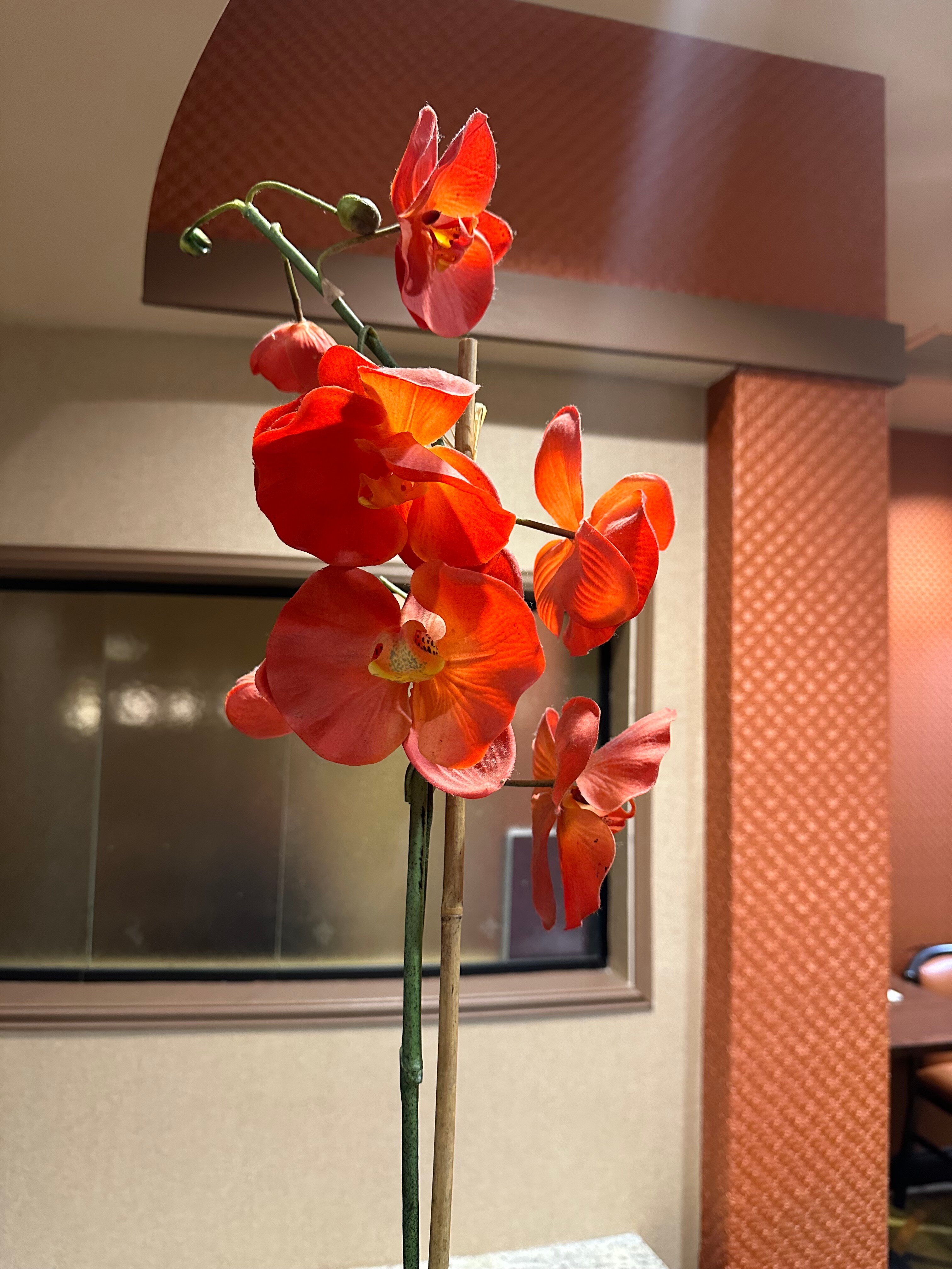 Best Western Plus Tupelo Inn & Suites-浴室