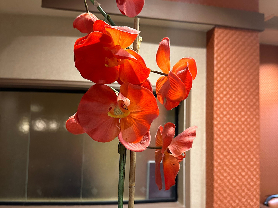 Best Western Plus Tupelo Inn & Suites主图