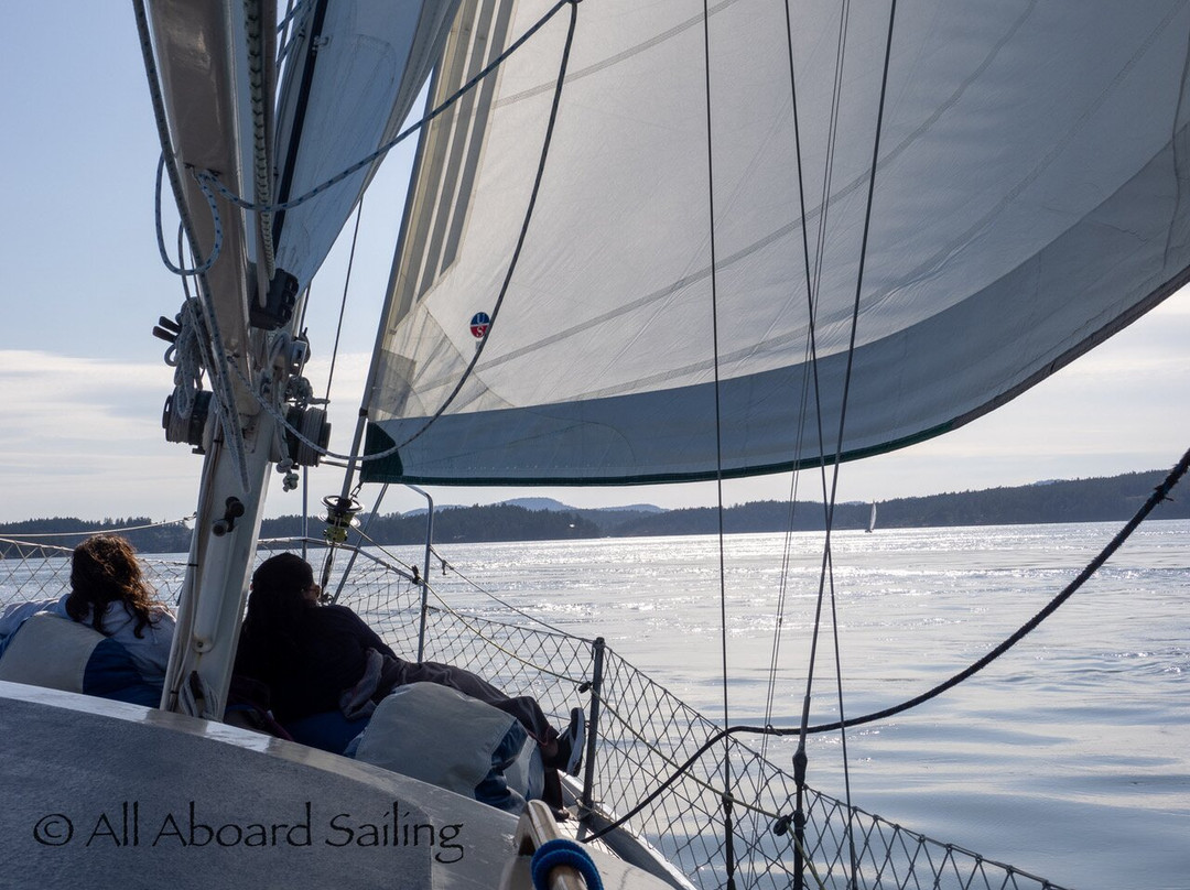 All Aboard Sailing景点图片
