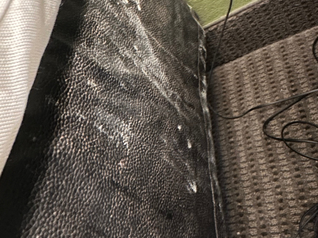 Sleep Inn Charleston - West Ashley主图