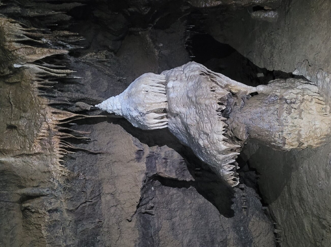 Grotte Di Castelcivita景点图片