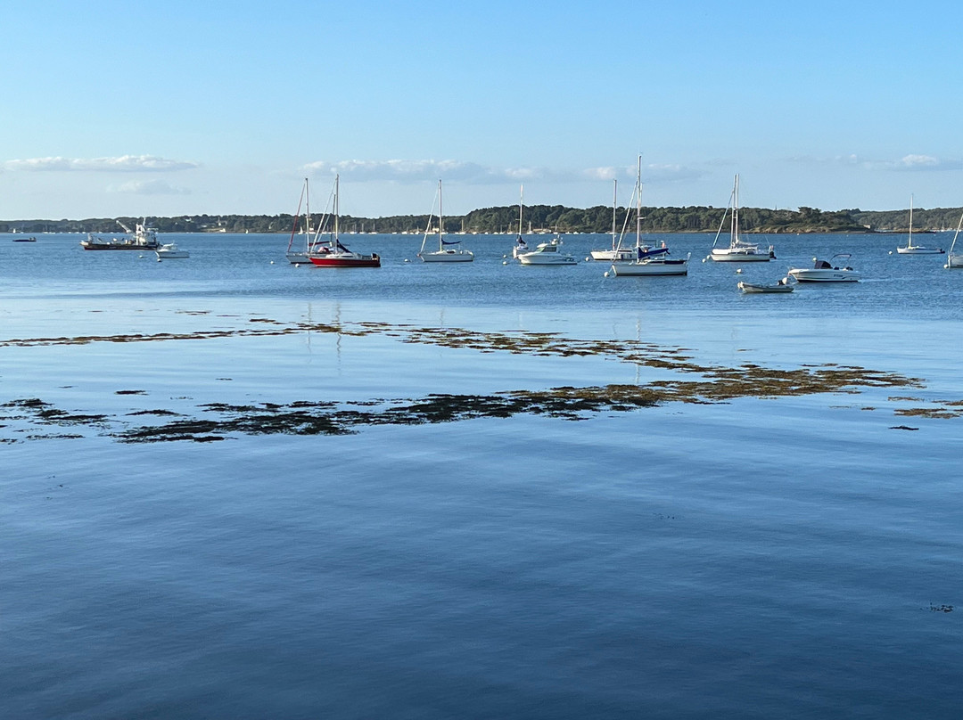 Reves De Bord De Mer主图