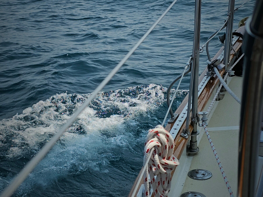 Sailing Yacht Scout - Day Tours-特拉弗斯城必去景点