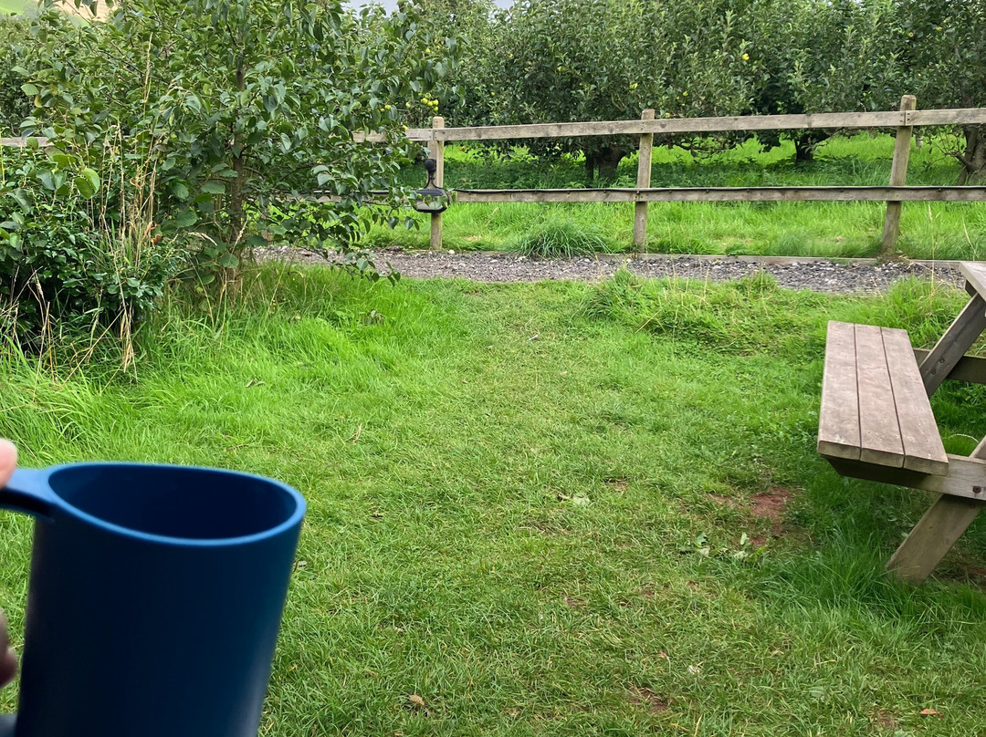 Orchard Organic Farm-牛顿阿伯里必去景点