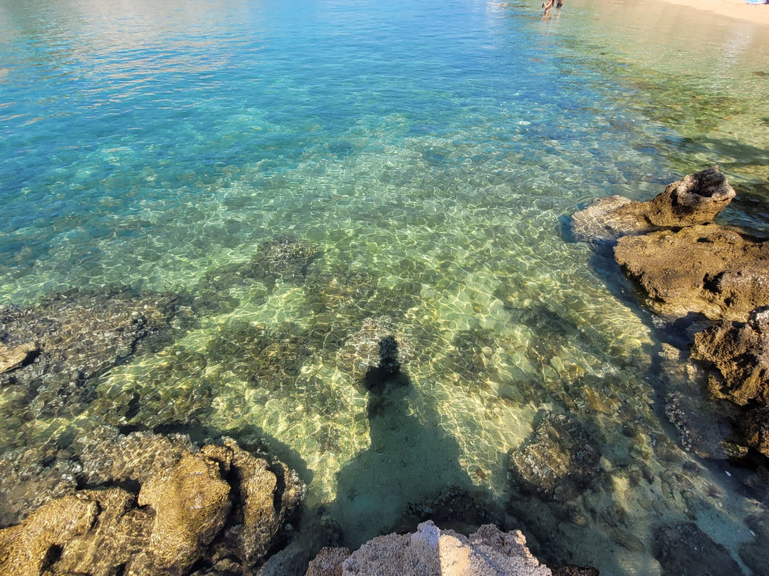 Pudarica Beach景点图片