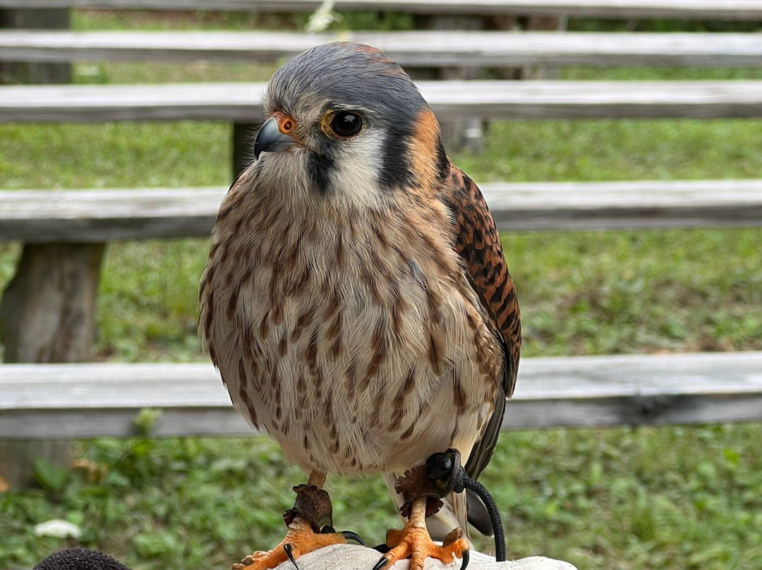 Open Door Bird Sanctuary-Jacksonport必去景点