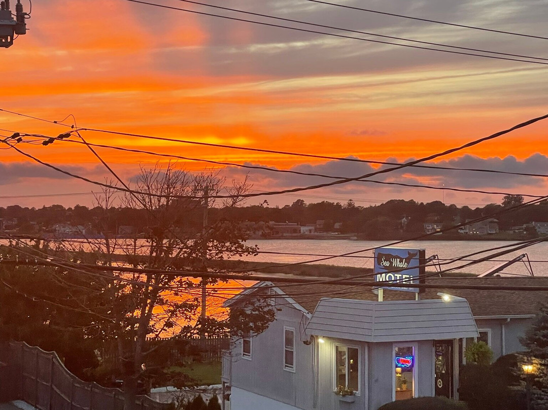 The Sea Breeze Inn主图