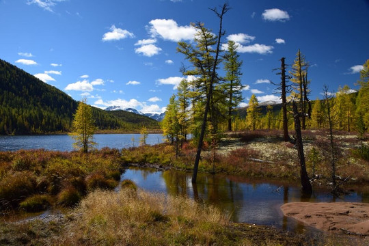 Tofalarskiy Reserve-Bolshaya Rechka必去景点