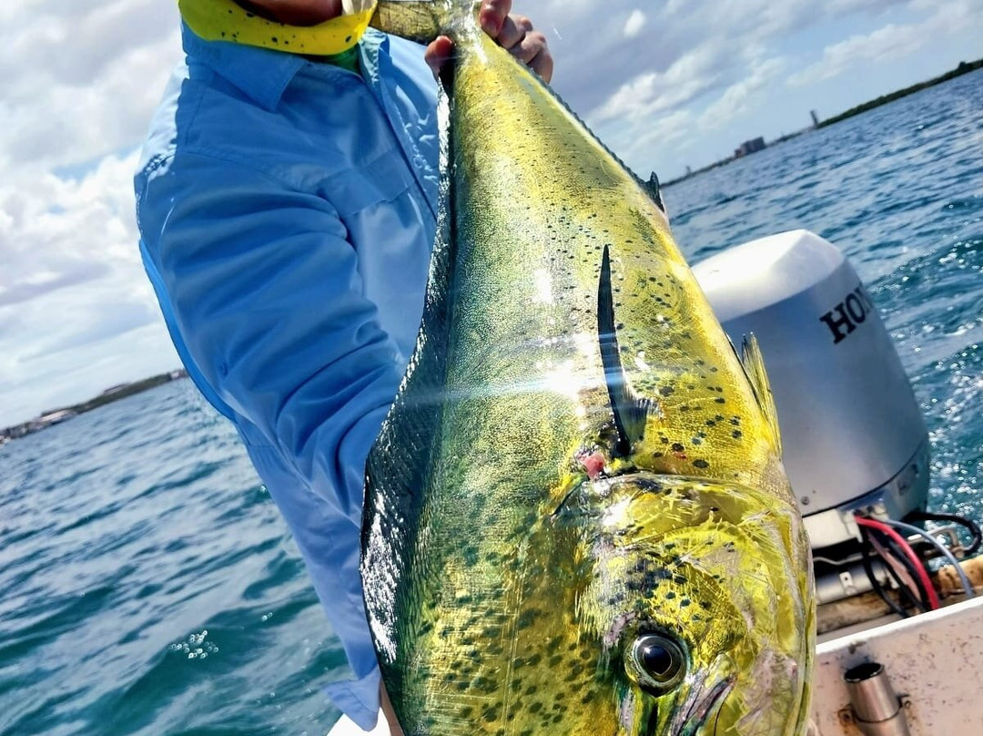 Sportfishing Chárter Baja Paceños Tours