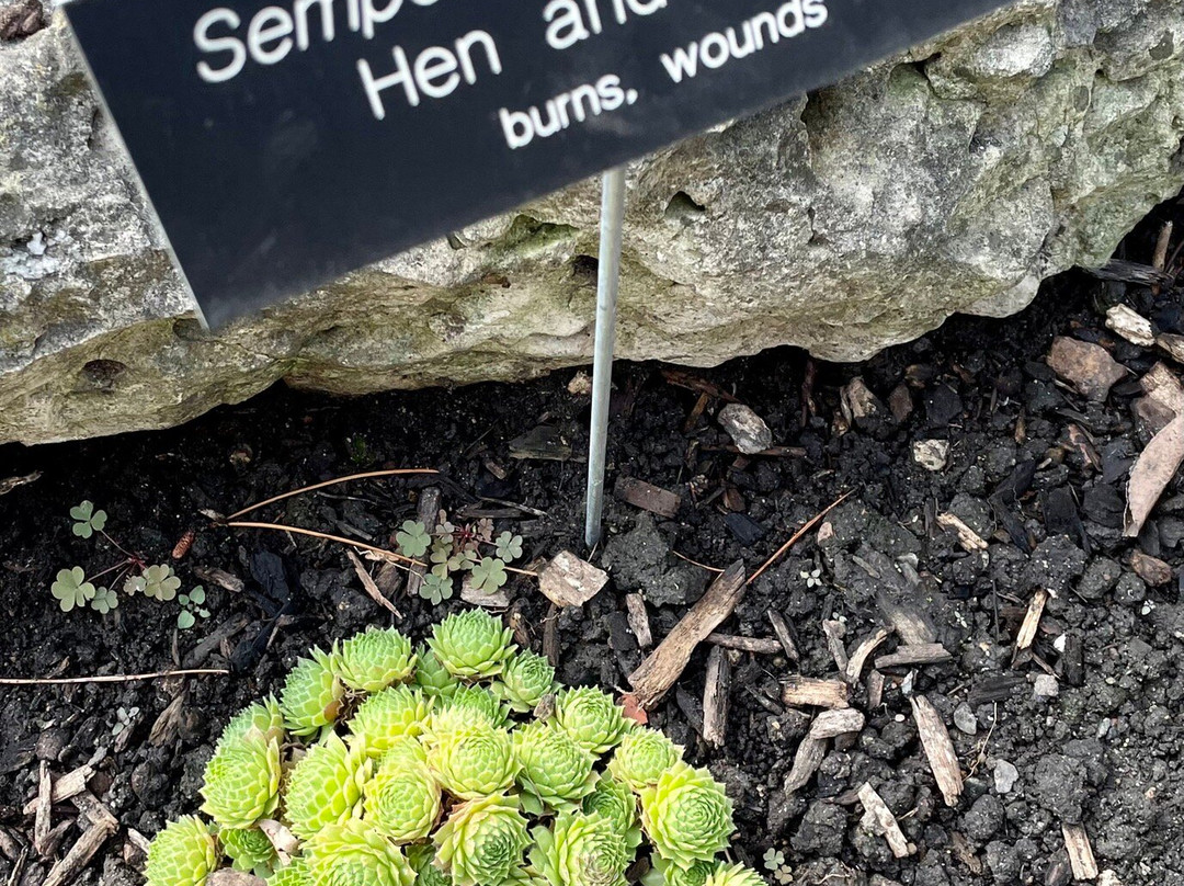 Minnesota Landscape Arboretum-昌哈森必去景点