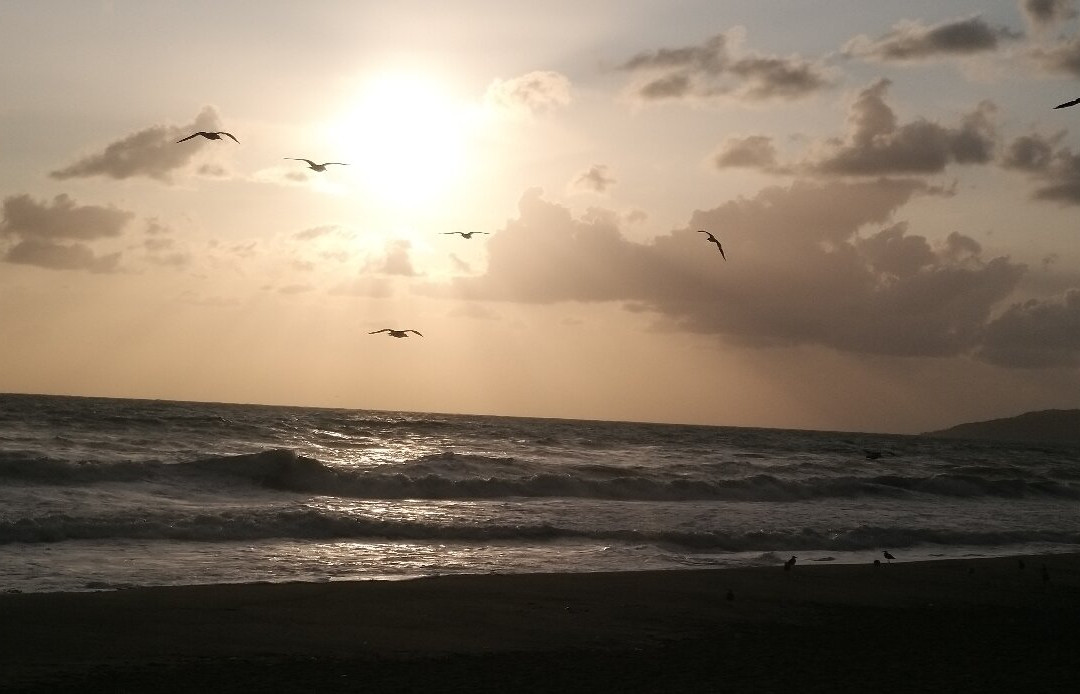 Spiaggia Marina di Ascea景点图片