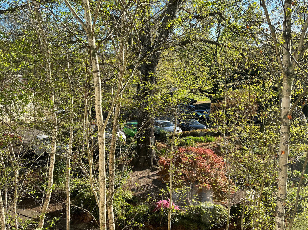 胡椒玛诺屋主图