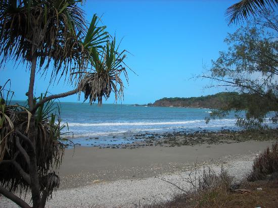 Daintree Wonder Tours-道格拉斯港必去景点