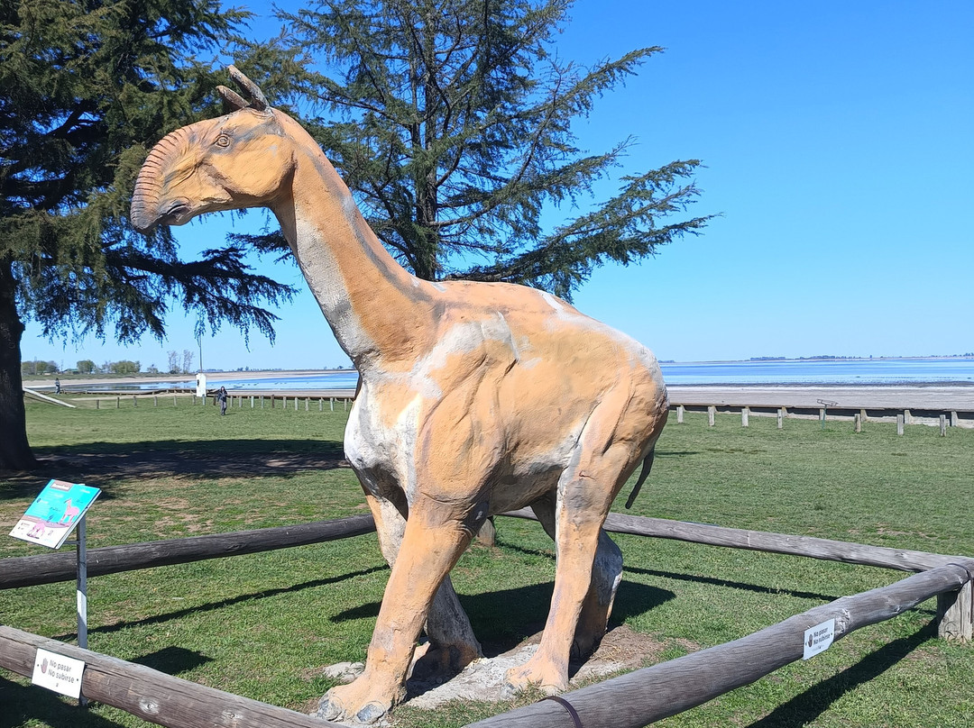 Parque Natural Laguna de Gomez景点图片