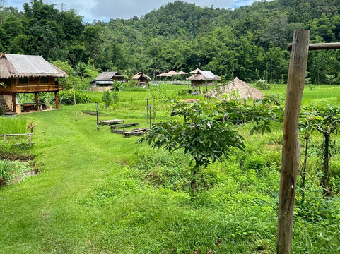 Toto's Elephant Sanctuary-清迈必去景点