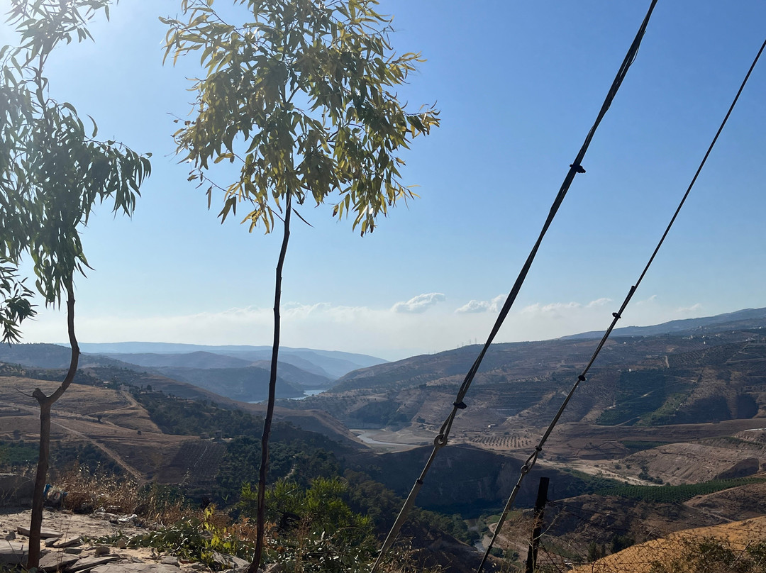Camel Taxi-安曼必去景点