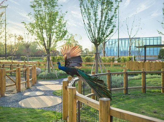 成都温江悦椿酒店主图