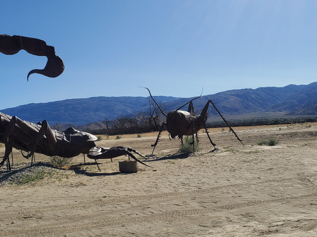 Borrego Springs Farmers Market-波瑞戈泉必去景点