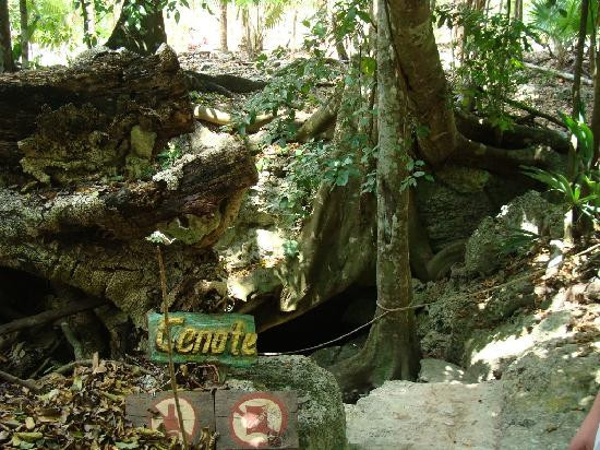 Boca Del Puma-从莫雷洛斯港必去景点