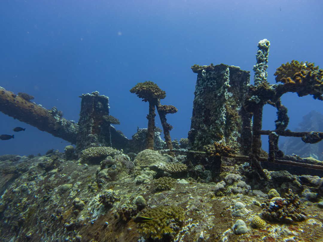 Fins & Flash-吉达必去景点