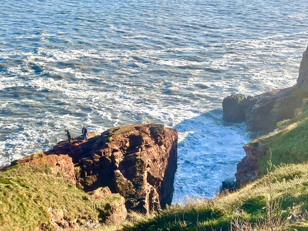 Arbroath to Auchmithie Coastal Path景点图片