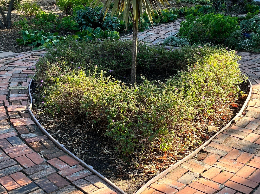 Shinn Historical Park and Arboretum-费利蒙必去景点