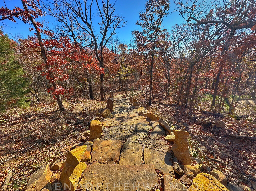 Turkey Mountain Urban Wilderness Area-塔尔萨必去景点