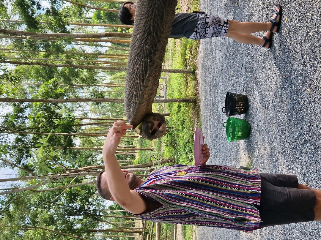 Elephant Care Park​ Phuket​-呈塔累必去景点
