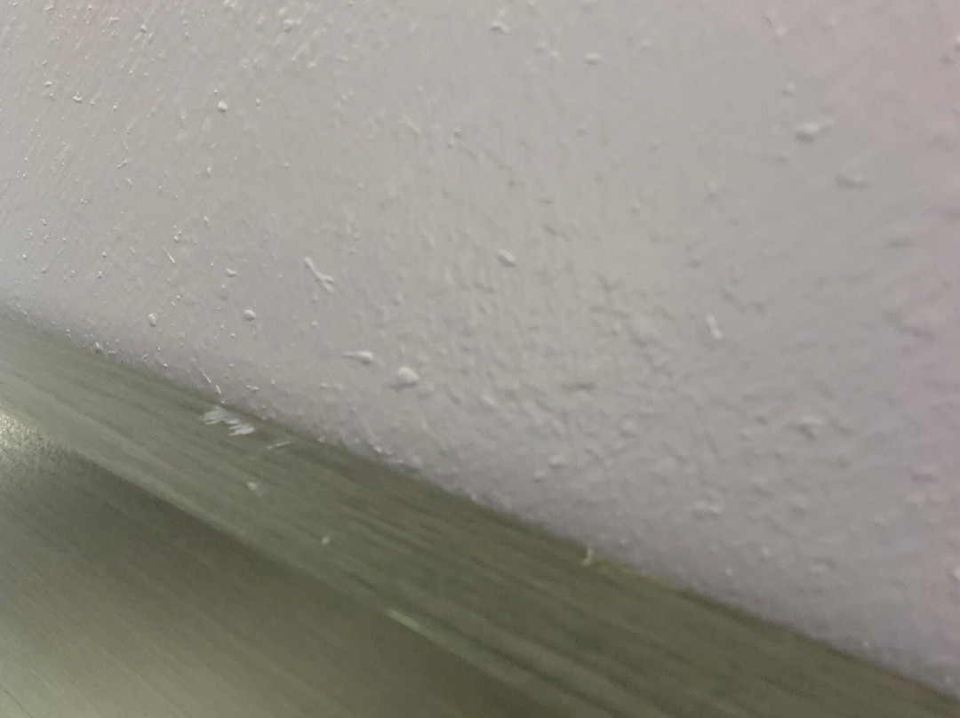 Best Western Hickory主图