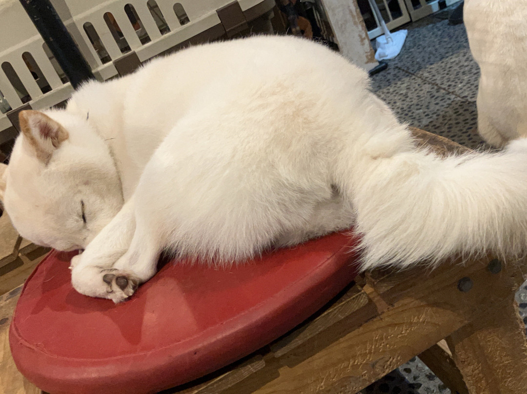 Cafe Ryoma-京都市必去景点