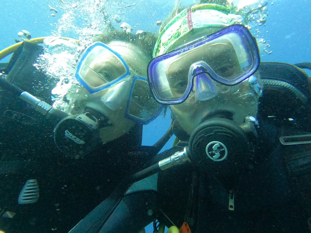 Diving Atlantis Tenerife-洛斯克里斯蒂亚诺斯必去景点