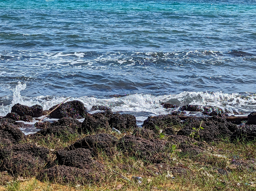 Bong's Guesthouse主图