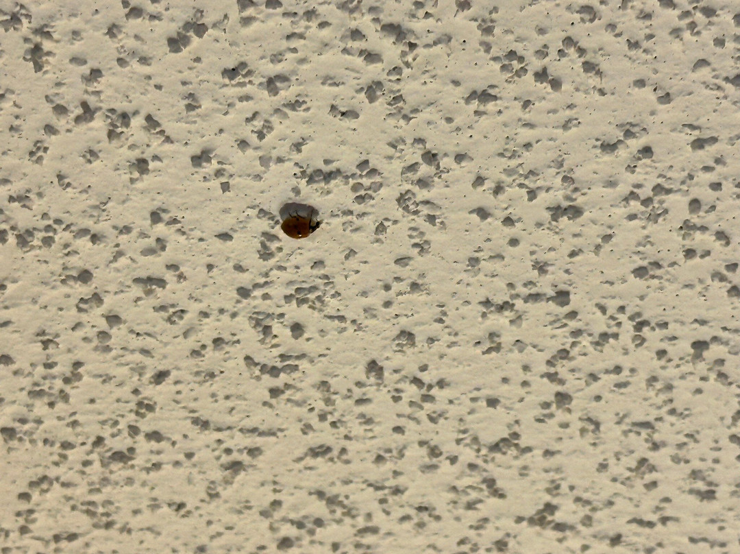 Fairfield by Marriott Inn & Suites Winston-Salem Hanes Mall主图