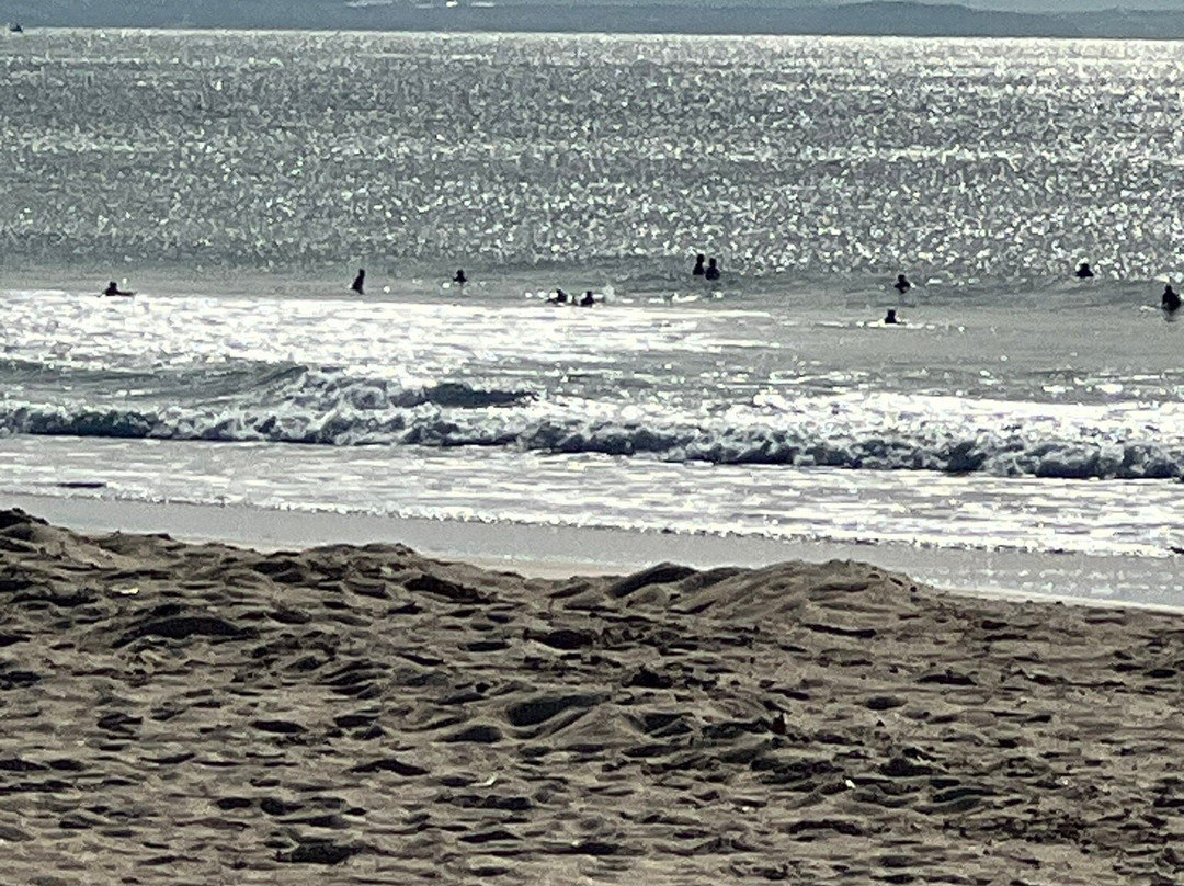 Portugal Surf Rentals景点图片