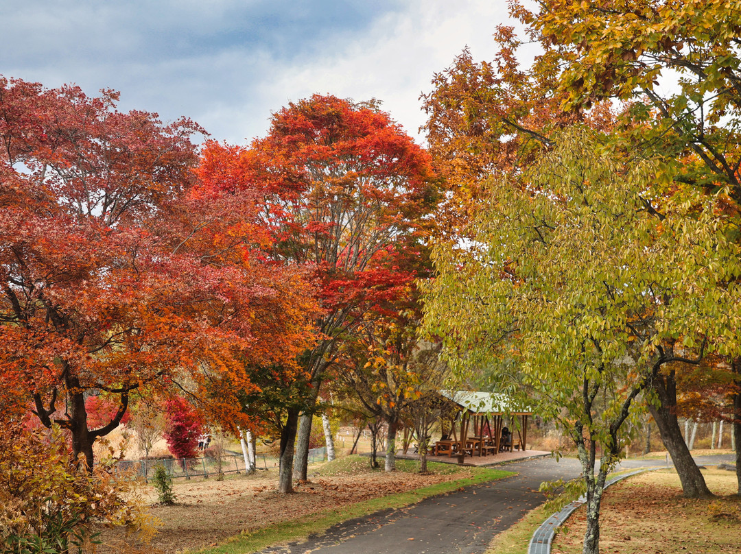 Yatsugatake Natural & Culture Park-原村必去景点