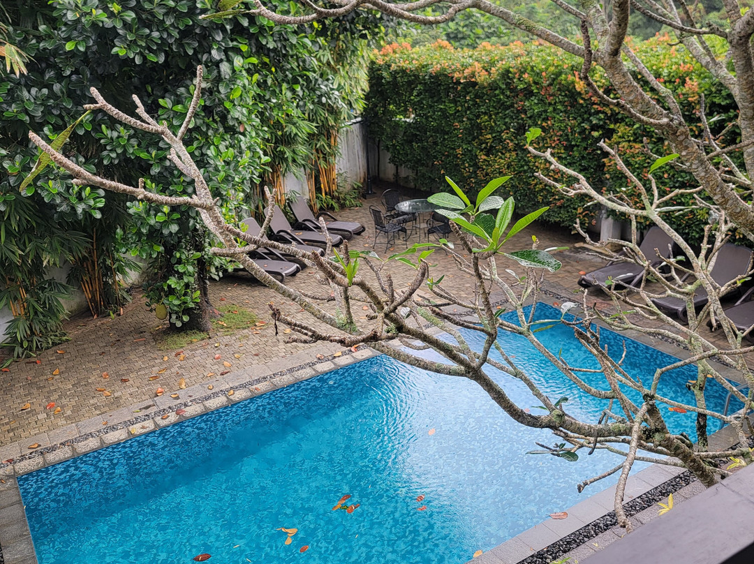 丁香别墅酒店主图