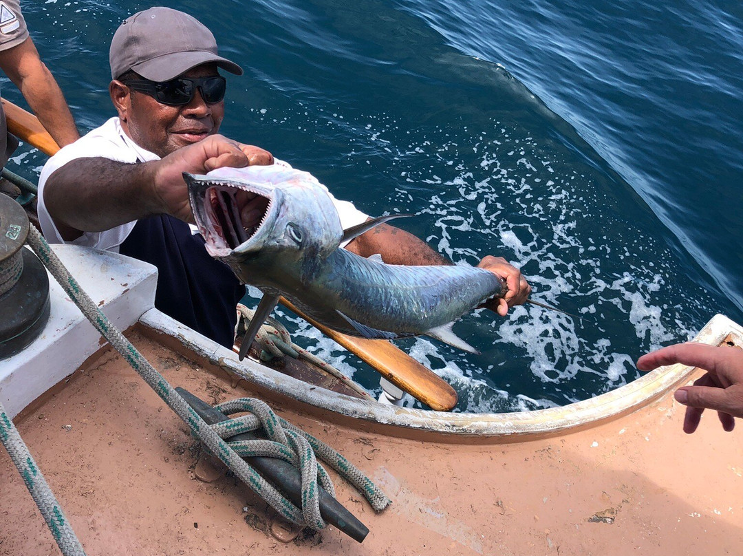 Whale's Tale Cruises Fiji-丹娜努岛必去景点